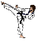 Taekwondoka